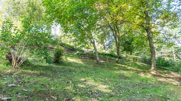 1770285771-21) wilde tuin (19)